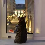 Urban Marble * טורינו